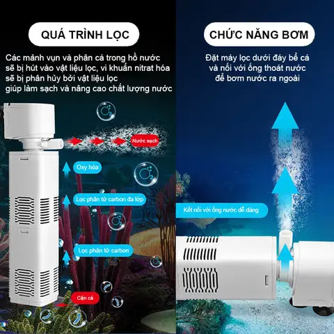lọc bể cá lớn lọc bể cá lớn