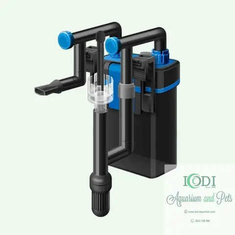 Lọc bể cá mini là gì? Hướng dẫn chọn và sử dụng hiệu quả lọc bể cá mini