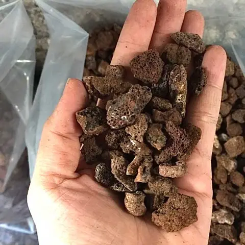 lọc bể cá tốt nhất lọc bể cá tốt nhất