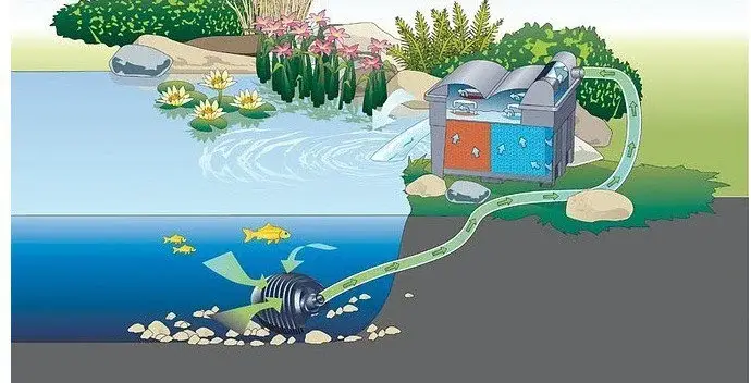 lọc hồ cá koi ngoài trời lọc hồ cá koi ngoài trời
