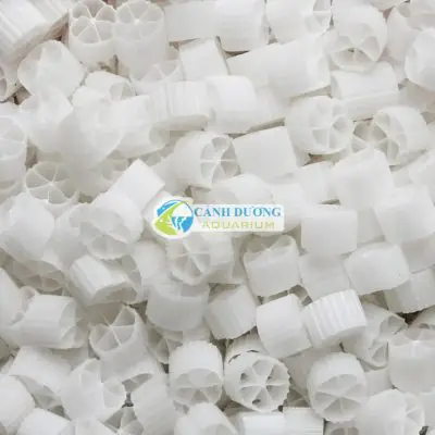 lọc hồ cá rồng lọc hồ cá rồng