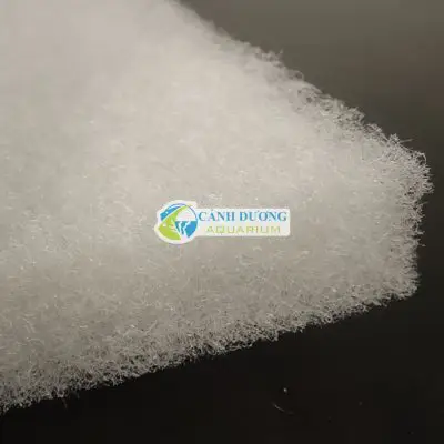 lọc hồ cá rồng lọc hồ cá rồng
