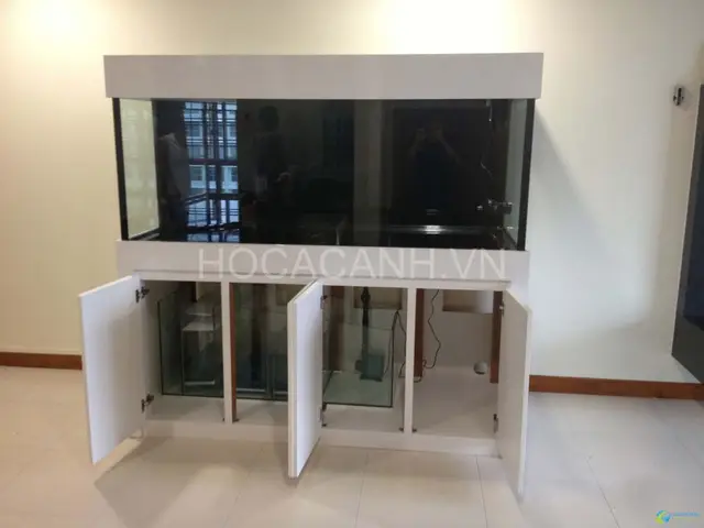 lọc hồ cá rồng lọc hồ cá rồng