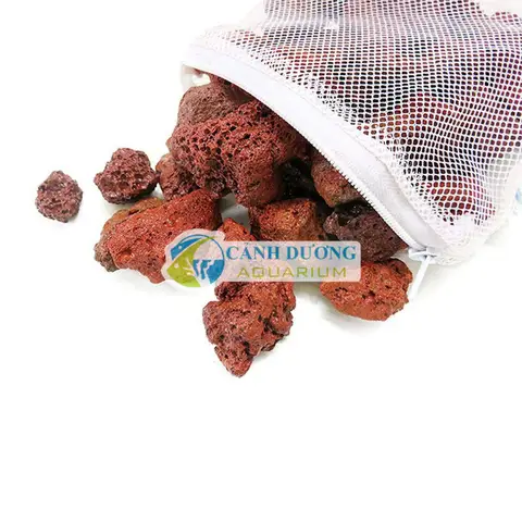 lọc hồ cá rồng lọc hồ cá rồng