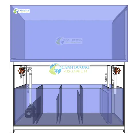 lọc hồ cá rồng lọc hồ cá rồng