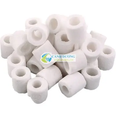 lọc hồ cá rồng lọc hồ cá rồng
