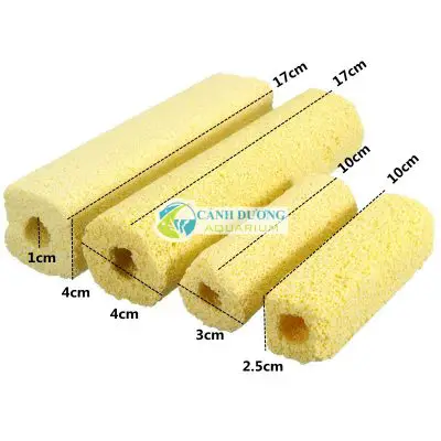 lọc hồ cá rồng lọc hồ cá rồng