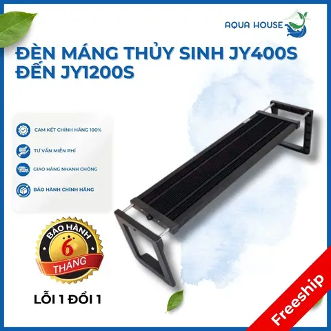lọc thùng cho bể cá rồng lọc thùng cho bể cá rồng