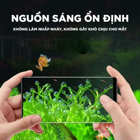 lọc thùng cho bể cá rồng lọc thùng cho bể cá rồng