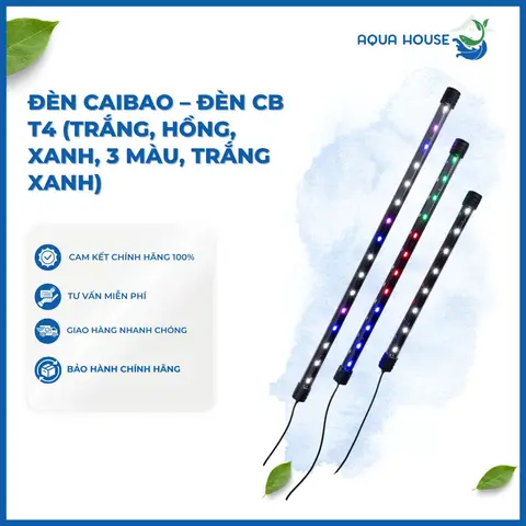 lọc thùng cho bể cá rồng lọc thùng cho bể cá rồng