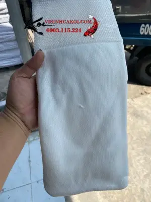 Lọc Tràn Hồ Cá Koi: Hướng Dẫn Chi Tiết Để Có Nước Sạch Lý Tưởng lọc tràn hồ cá koi