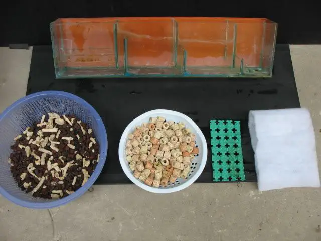 lọc tràn hồ cá rồng lọc tràn hồ cá rồng
