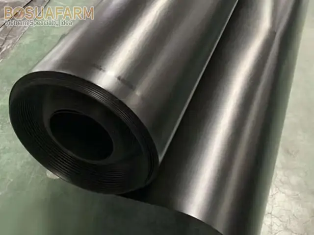 lót đáy bể cá lót đáy bể cá