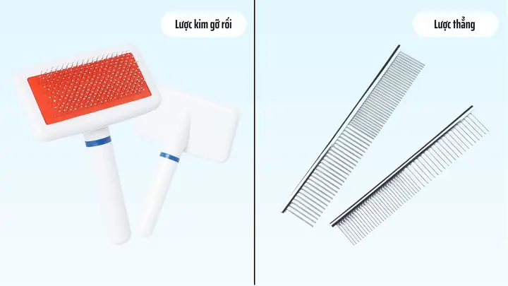 lược chải lông chó phốc sóc