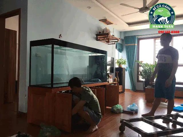 mẫu bể cá cảnh đẹp mẫu bể cá cảnh đẹp