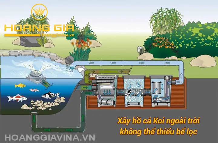 mẫu hồ cá koi ngoài trời mẫu hồ cá koi ngoài trời