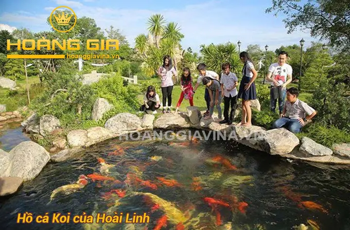 mẫu hồ cá koi ngoài trời mẫu hồ cá koi ngoài trời