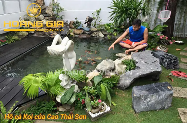 mẫu hồ cá koi ngoài trời mẫu hồ cá koi ngoài trời
