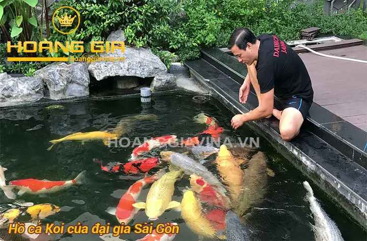mẫu hồ cá koi ngoài trời mẫu hồ cá koi ngoài trời