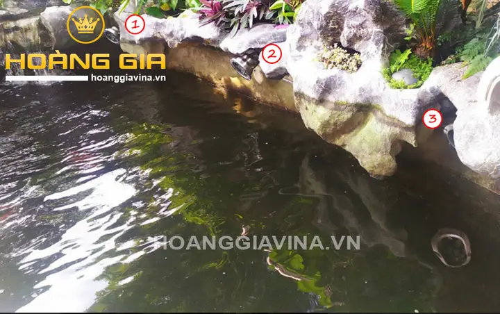 mẫu hồ cá koi ngoài trời mẫu hồ cá koi ngoài trời