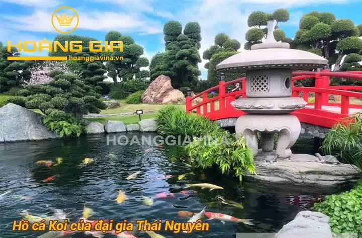 mẫu hồ cá koi ngoài trời mẫu hồ cá koi ngoài trời
