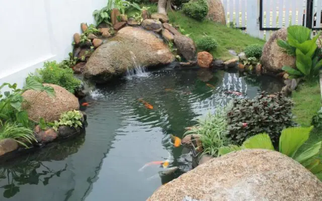 máy bơm hồ cá máy bơm hồ cá
