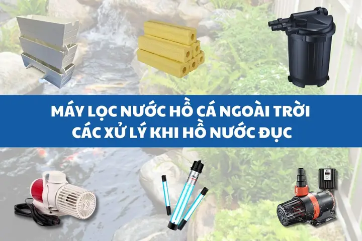 Kinh Nghiệm Chọn Máy Lọc Hồ Cá Ngoài Trời Nước Trong, Cá Khỏe máy lọc hồ cá ngoài trời