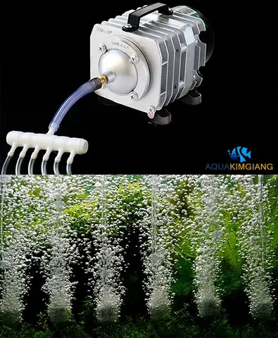 máy tạo oxy cho bể cá cảnh máy tạo oxy cho bể cá cảnh