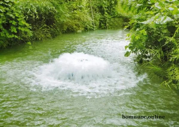 máy tạo sóng ao cá máy tạo sóng ao cá