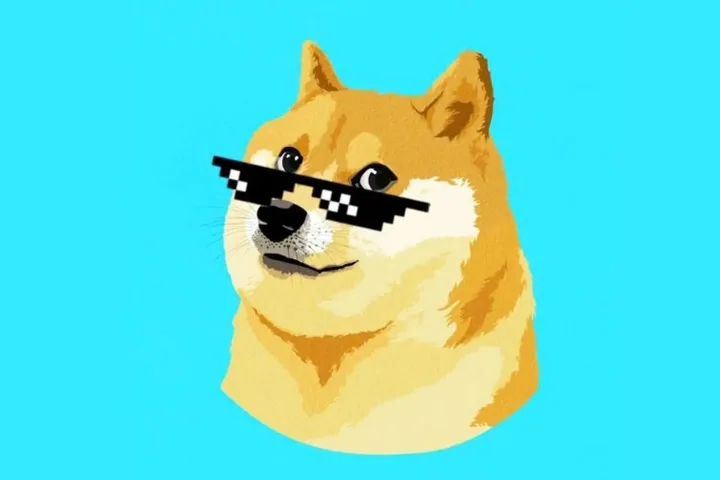 Các loại meme chó Shiba phổ biến