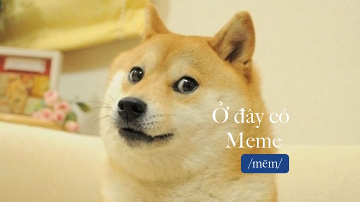 Cách tạo meme chó Shiba của riêng bạn