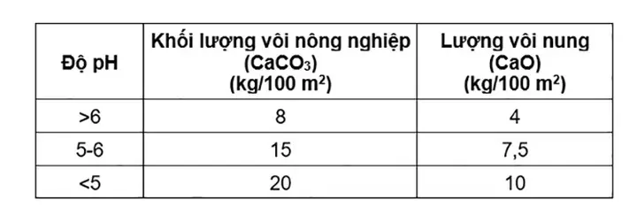 mô hình nuôi cá rô đầu vuông mô hình nuôi cá rô đầu vuông