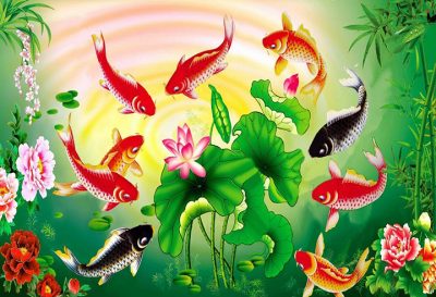 Các tình huống khác liên quan đến cá chép trong giấc mơ