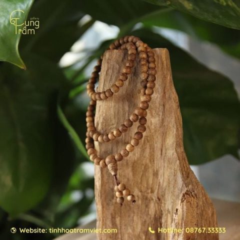 Một số con số may mắn liên quan đến giấc mơ thấy cá mập