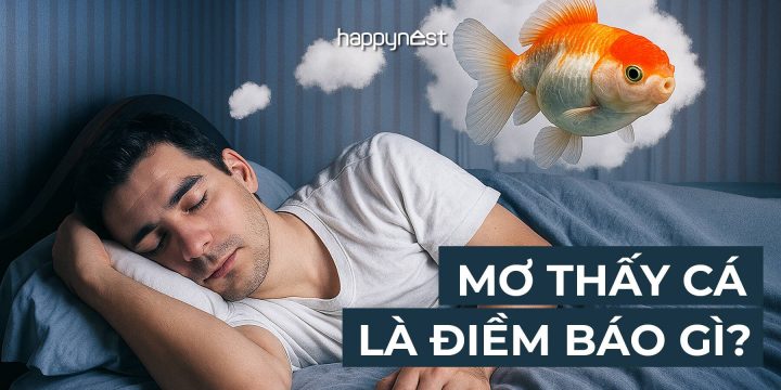 Ý nghĩa tâm linh của giấc mơ thấy câu cá