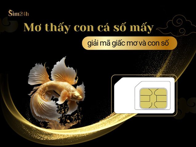 Những con số may mắn liên quan đến giấc mơ thấy câu cá