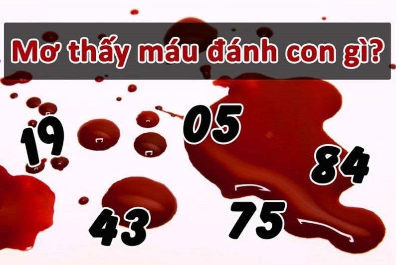 Các yếu tố ảnh hưởng đến giấc mơ về máu
