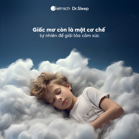 Giải mã các biểu tượng trong giấc mơ