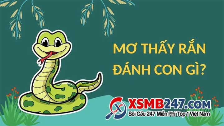 Mơ Thấy Rắn Đánh Số Gì? Ý Nghĩa Và Điềm Báo Từ Giấc Mơ Này Giấc mơ thấy rắn và những con số may mắn