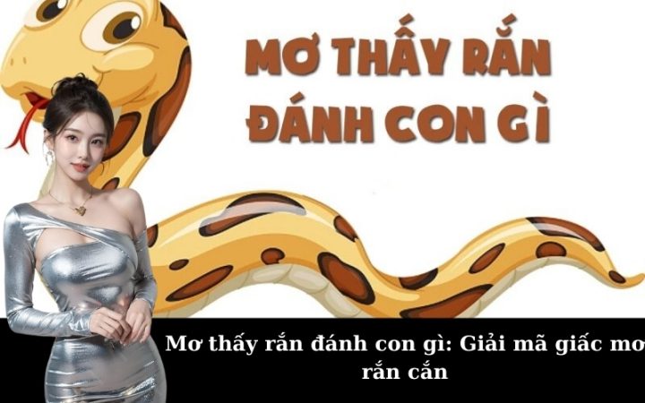 Mơ Thấy Rắn Đánh Số Gì? Ý Nghĩa Và Điềm Báo Từ Giấc Mơ Này Các trường hợp đặc biệt khi mơ thấy rắn