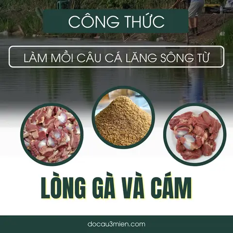 mồi câu cá lăng hồ mồi câu cá lăng hồ