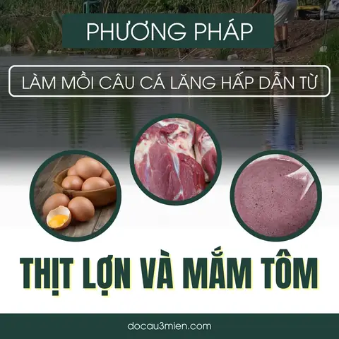 mồi câu cá lăng hồ mồi câu cá lăng hồ