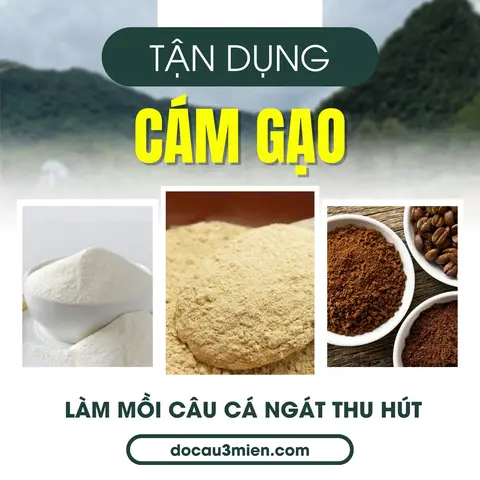 mồi câu cá ngat mồi câu cá ngat