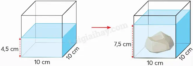 một bể cá dạng một bể cá dạng