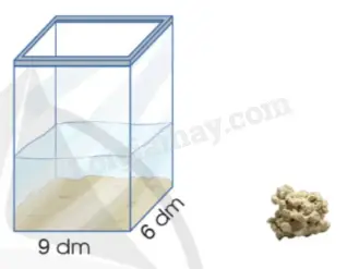 một bể cá dạng một bể cá dạng