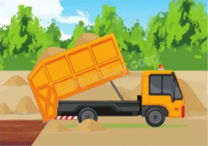 một bể cá dạng một bể cá dạng