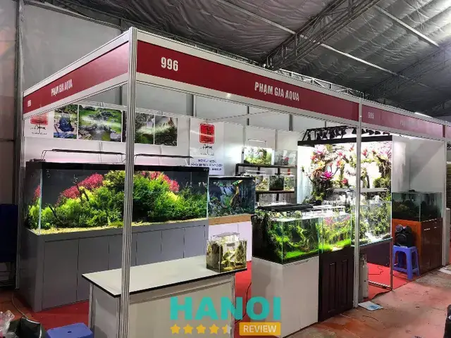 mua bể cá cũ tại hà nội mua bể cá cũ tại hà nội