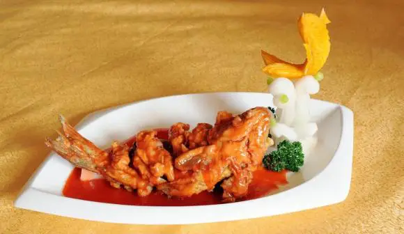 mua cá chép cảnh mua cá chép cảnh