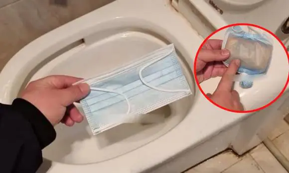 mua cá chép cảnh mua cá chép cảnh