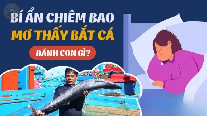 Giải mã chi tiết giấc mơ bắt cá theo từng tình huống